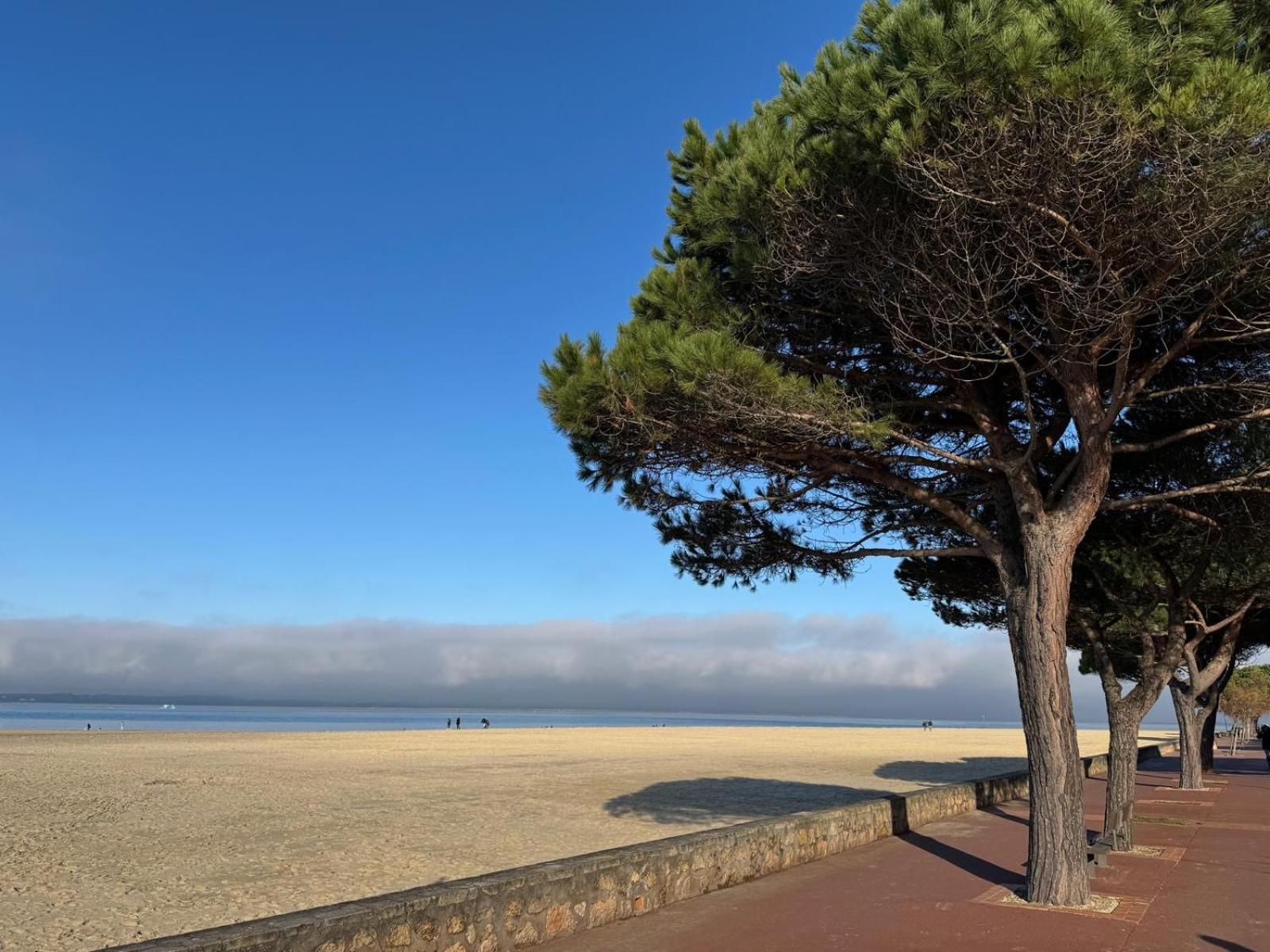 Holiday home Maison Proche Et Centre Ville, Menage Et Draps Compris Arcachon
